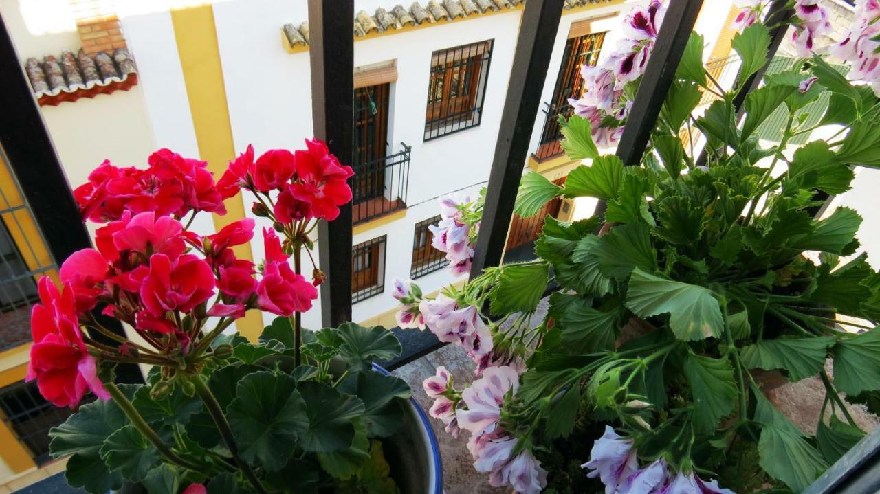 Patios De San Pedro Córdoba Exterior foto